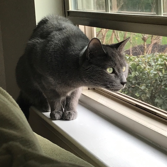 Meet your Posher, Trudy - Picture 5 of 6